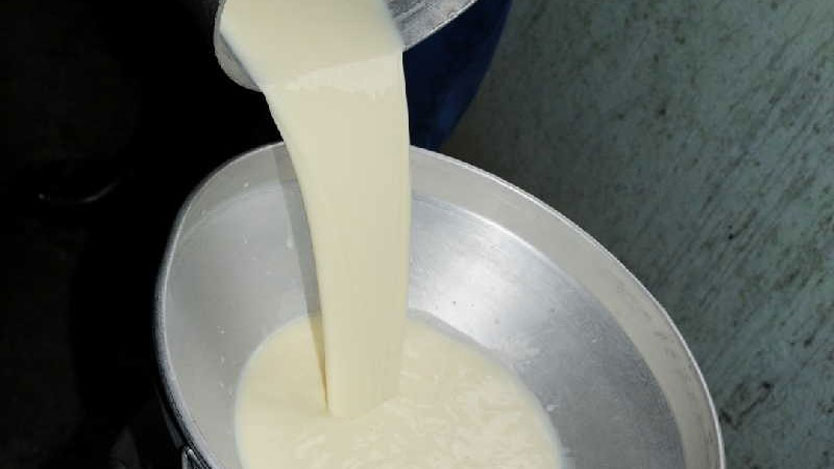 Informan sobre cambios en la distribución de leche